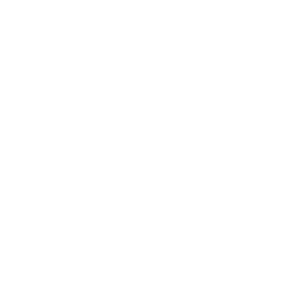 African Nations Championship logo