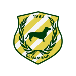 Samambaia