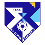 Славен Живинице
