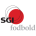 СГИ