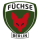 Füchse Berlin