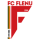 Flenu