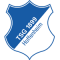 Гоффенгайм до 19
