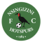 Nsingizini Hotspurs