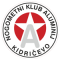 Алюминий
