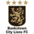 Банкстаун Сити