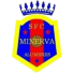 Minerva