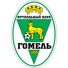 Gomel 2