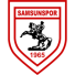   Самсунспор до 19