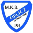 Orlicz Suchedniów