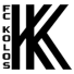 Колос до 19