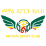 Дифенс Форс