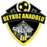 Бейкоз Анадолу