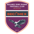 Биньзыонг