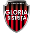 Gloria Bistrita