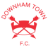 Downham Town