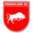 Парагуари