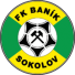 Banik Sokolov