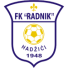 Радник Хаджичи