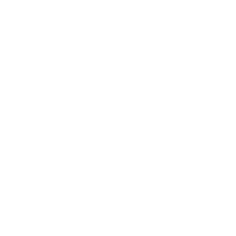 Copa do Nordeste logo