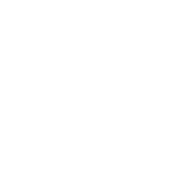 Региональный Кубок logo