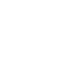 Лига 1 logo