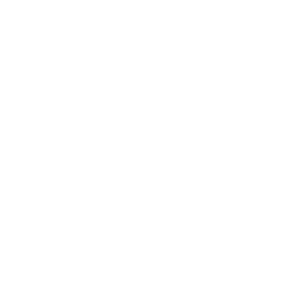 Премьер-лига logo