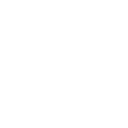 Copa Libertadores logo