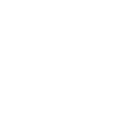 V-Лига logo