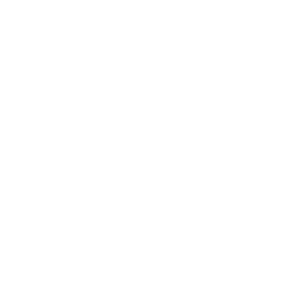 Πριμέρα Ντιβιζιόν logo
