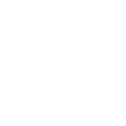 Campeonato Potiguar logo