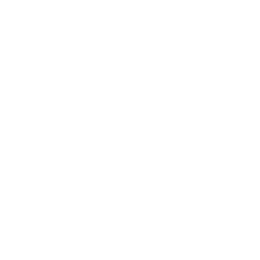 Премиър лига logo