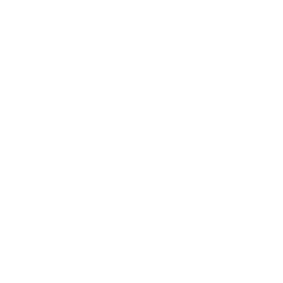 Supercup logo