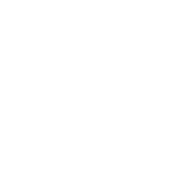 DFL-Supercup logo