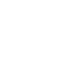 Дамаллсвенскан logo