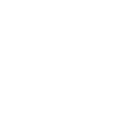 Премьер-лига до 19 logo