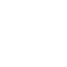 Экстралига logo