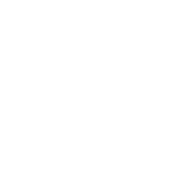ВХЛ logo