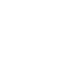 Copa Verde logo