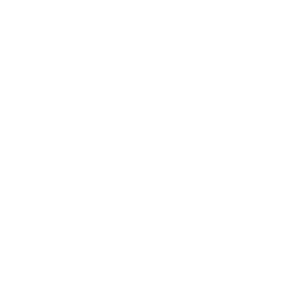 Primera Division A logo