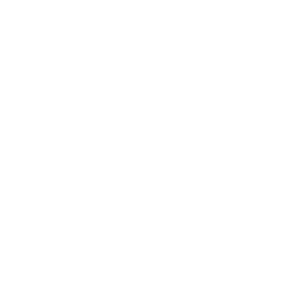 Liga Profesional logo