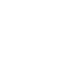 Премьер-лига logo