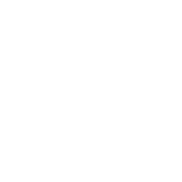 Эрсте Дивизи logo