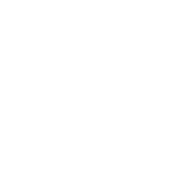 Тведе Дивизи logo