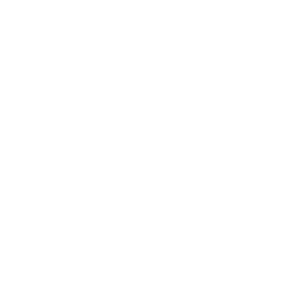 1. Divisjon logo