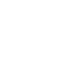 Superliga logo