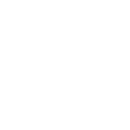 DBL logo