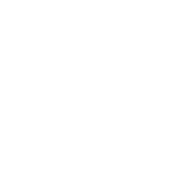 Campeonato Paulista logo