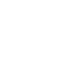 2-й дивизион logo