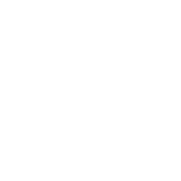 Высшая лига logo